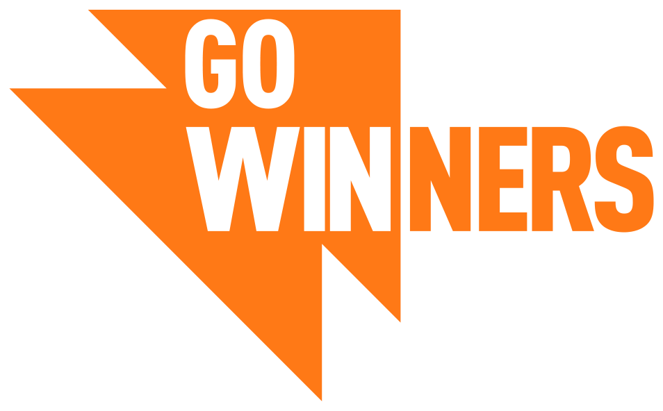 Go Winners - A inovação do processo seletivo